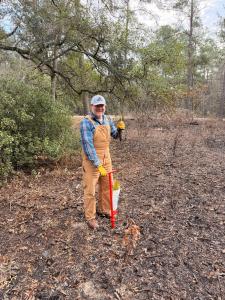 Florida State Parks Foundation Board President Matt Caldwell plants a longleaf pine during a tree-planting celebration at Edward Ball Wakulla Springs State Park on Jan. 21, 2026.