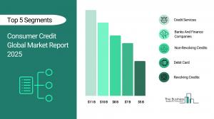 Consumer Credit Market Share