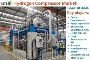 Hydrogen Compressor Market