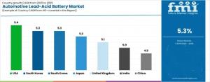Automotive Lead Acid Battery Market