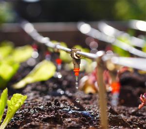 Micro Irrigation System