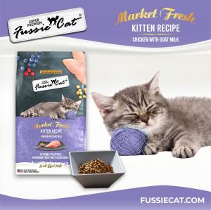 Fussie Cat Super Premium Market Fresh Kitten Recipe Ecomm image, kitten yarn ball kitten kibble