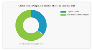 Human Organoids Market Size