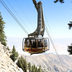 A Palm Springs aerial tramway gondola glides over a mountainous landscape, surrounded by tall pine trees and blue skies.