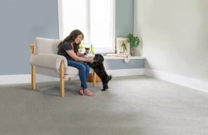 Clean residential carpet in a pet-friendly home, emphasizing the need for pet odour removal and pet stain removal services in Calgary.