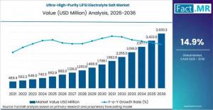 Ultra-High-Purity LiFSI Electrolyte Salt Market
