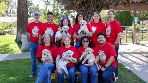 Volunteer Puppy Raisers in red shirts with DC Sponsored Litter Puppies