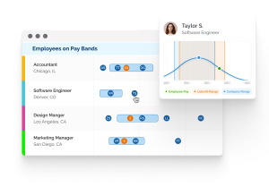 Pay Band Software Screenshot