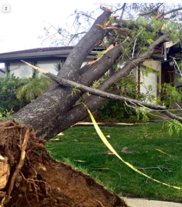 WRC Is Ready When Storms Blow Through