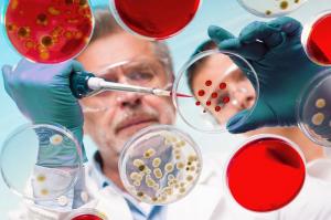Genetic Toxicology Testing Market