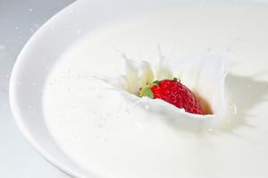 Yoghurt Fruit Preparations Market 2019-2025