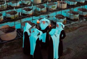 five sisters in cornettes and gowns among the plants at sunset holding torches