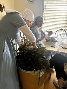 two sisters with a barrel of weed they are trimming
