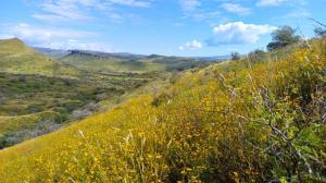 Northern Mexico Ranch Enrolled in Project