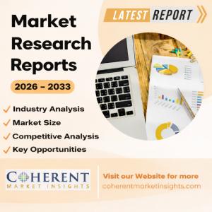Magnetite Nanoparticles Market