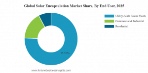 Solar Encapsulation Market Share