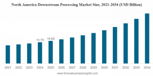 Downstream Processing Market Size