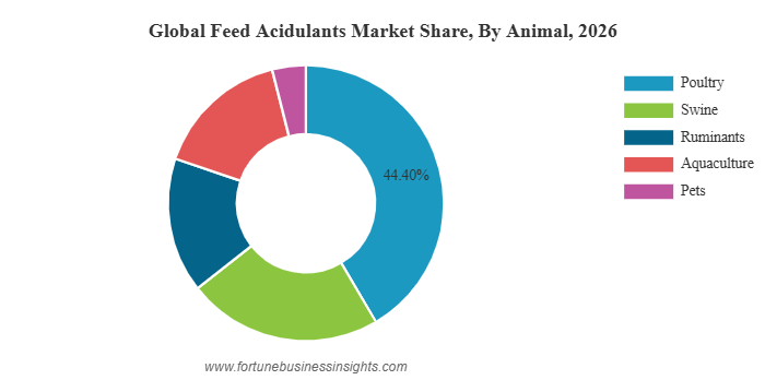 Feed Acidulants Market