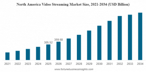 Video Streaming Market Size