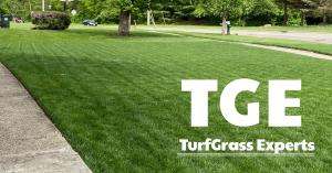 Looking from driveway across a well-maintained, lush green lawn treated by TurfGrass Experts - NKY