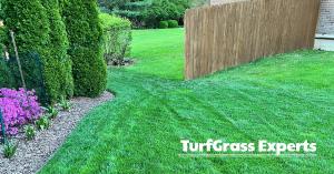The side of a brown brick house with gravel flower beds filled with flowers and shrubs, without any weeds