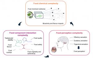 Three-layer view of food complexity