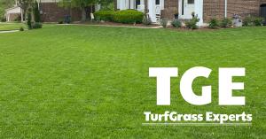 TGE and TurfGrass Experts Logo in white on a lush, green front lawn in Northern Kentucky