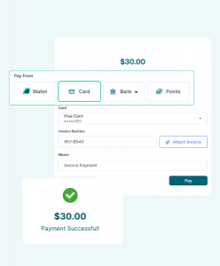 Paywint UI displaying multiple payment methods and a successful $30 invoice payment.