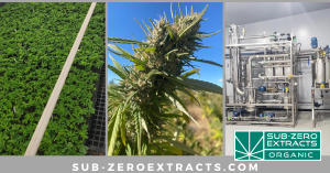 an image of the farm and side by side an image of the lab where the cannabis oils are processed