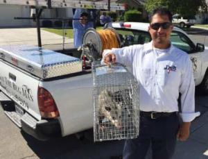 Danny Hernandez, owner of Dan’s Pest Management in Bakersfield, California, a family-owned pest control company serving Kern County.
