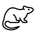 local pest control Manhattan