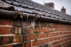 Blocked gutter overflowing onto brickwork, causing water penetration and damp issues on an external wall.