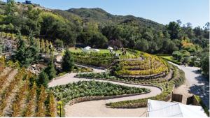 Family Wine Harvest (Photo Credit: Calamigos Ranch)