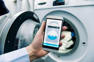 Online On-demand Laundry Service Market