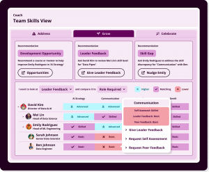 Fuel50 Team Skills View