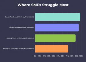 Survey Chart - Where SMEs Struggle Most