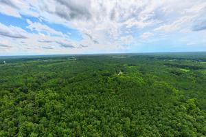 7 wooded Lunenburg County estate lots: Lot 1--29± acres; Lot 2--34.67± acres; Lot 3--37.32± acres; Lot 4--21.02± acres; Lot 5--38.92± acres; Lot 6--27.02± acres; and Lot 7--26.27± acres. •	Soil work has been completed for perk sites •	$217,000 of Appraised Timber Value.