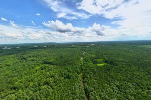 7 wooded Lunenburg County estate lots: Lot 1--29± acres; Lot 2--34.67± acres; Lot 3--37.32± acres; Lot 4--21.02± acres; Lot 5--38.92± acres; Lot 6--27.02± acres; and Lot 7--26.27± acres. •	Soil work has been completed for perk sites •	$217,000 of Appraised Timber Value.
