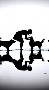 Silhouetted person standing in shallow reflective water between two dogs, with their reflections mirrored on the water’s surface.