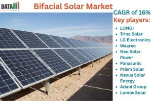 Bifacial Solar Market