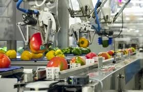 Food Automation Market