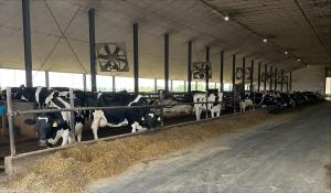 GSR BOLT cow manure waste-to-value