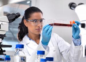 Laboratory technician looking at blood sample in glass tray