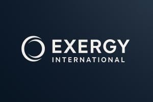 Exergy International logo, Washington DC political and geopolitical risk advisory firm