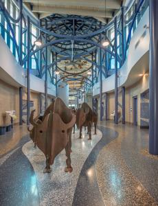 Terrazzo floors representing varying depths of water, banks, and dunes with river rock. 
