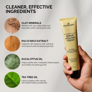 Infographic showing the key ingredients of Zion Health Repair Cream, including clay minerals, Pau D'Arco extract, Eucalyptus oil, and Tea Tree oil.
