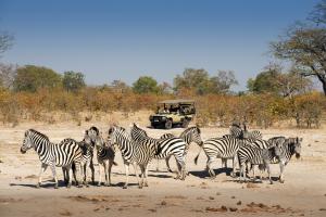 African Bush Camps Linyanti Expeditions