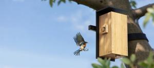 Birdfy Nest Duo, the 2026 TWICE Picks Award winner.