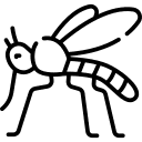 pest control services Queens