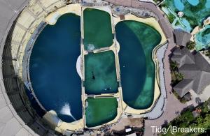 Drone footage shows killer whales Wikie and her son Keijo swimming in crumbling tanks in Marineland Antibes, France.